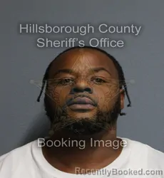 Mugshot of Tavarius Devon James booked in Hillsborough County, Florida on September 15, 2026