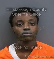 Mugshot of Dazja N Hernandez booked in Hillsborough County, Florida on September 15, 2026