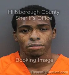 Mugshot of Christopher Allen Butler booked in Hillsborough County, Florida on September 15, 2026