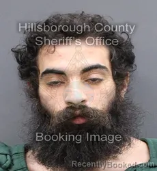 Mugshot of JONATHAN HECTOR PEREZ