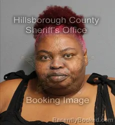 Mugshot of Sabrina Ann Floyd booked in Hillsborough County, Florida on September 15, 2026