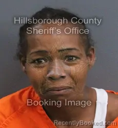 Mugshot of Rejina M Torres booked in Hillsborough County, Florida on September 15, 2026