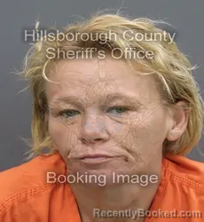 Mugshot of Peggy Kathleen Taylor booked in Hillsborough County, Florida on September 15, 2026