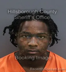 Mugshot of Brian Jr Hickman booked in Hillsborough County, Florida on September 15, 2026