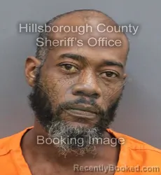 Mugshot of Dominique Terrell Green booked in Hillsborough County, Florida on September 15, 2026