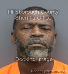 Mugshot of Michael Lee Chapman booked in Hillsborough County, Florida on September 15, 2026