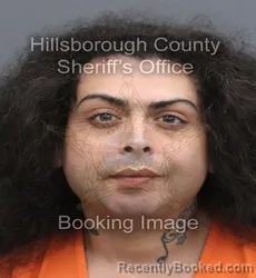 Mugshot of Bryant Farfan booked in Hillsborough County, Florida on September 15, 2026