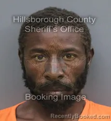Mugshot of Donye Demetrious James booked in Hillsborough County, Florida on September 15, 2026