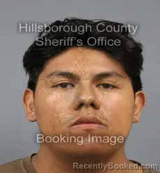 Mugshot of Jonathan Yair Rodriguez booked in Hillsborough County, Florida on September 15, 2026