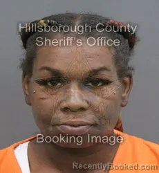 Mugshot of Tamika Roechelle Hardin booked in Hillsborough County, Florida on September 15, 2026