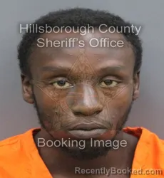 Mugshot of Jordan Mejiah Fleming booked in Hillsborough County, Florida on September 15, 2026
