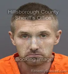 Mugshot of Shain Mackline Nichols booked in Hillsborough County, Florida on September 15, 2026
