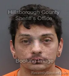 Mugshot of JUSTIN ROBERT LANE