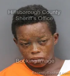 Mugshot of Cassandra Elouise Jackson booked in Hillsborough County, Florida on September 15, 2026