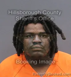 Mugshot of Axel Alexander Antony Rhymer booked in Hillsborough County, Florida on September 16, 2026
