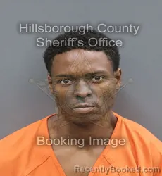 Mugshot of Saveon R Williams booked in Hillsborough County, Florida on September 16, 2026