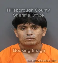 Mugshot of Selvin Eliazar Tzi Chub booked in Hillsborough County, Florida on September 16, 2026