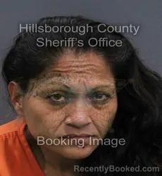 Mugshot of Maria Delrosario Tobias booked in Hillsborough County, Florida on September 16, 2026