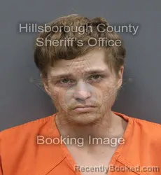 Mugshot of Maxmillian Eugene Elliott booked in Hillsborough County, Florida on September 16, 2026
