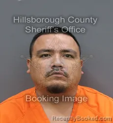 Mugshot of Sergio Rosales booked in Hillsborough County, Florida on September 16, 2026