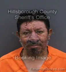 Mugshot of Elfer Rodriguez Perez booked in Hillsborough County, Florida on September 16, 2026