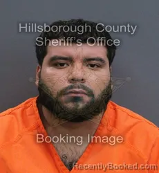 Mugshot of Jiovani Perez Jimenez booked in Hillsborough County, Florida on September 16, 2026