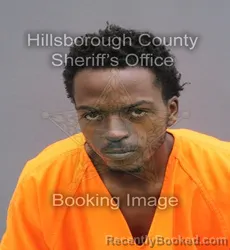 Mugshot of Malike D Norton booked in Hillsborough County, Florida on September 16, 2026