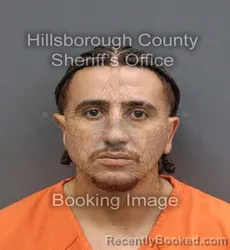 Mugshot of Andrei David Solano Salazar booked in Hillsborough County, Florida on September 16, 2026