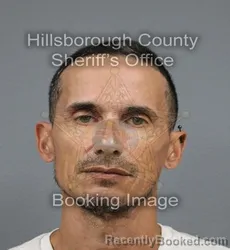 Mugshot of David Rodriguez booked in Hillsborough County, Florida on September 16, 2026