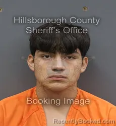Mugshot of Jesus Alberto Dominguez Juarez booked in Hillsborough County, Florida on September 16, 2026