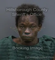Mugshot of Angelina Mullett Robinson booked in Hillsborough County, Florida on September 16, 2026