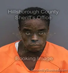 Mugshot of Jaime Renee Hankerson booked in Hillsborough County, Florida on September 16, 2026