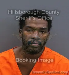 Mugshot of Devron J Teague booked in Hillsborough County, Florida on September 16, 2026