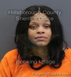 Mugshot of Ajahnicque T Chapman Ricketts booked in Hillsborough County, Florida on September 16, 2026