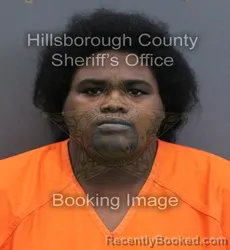 Mugshot of Shawntell Annette Moore booked in Hillsborough County, Florida on September 16, 2026