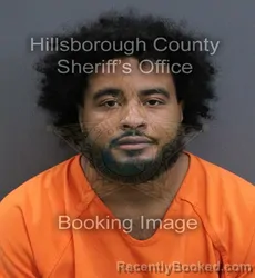 Mugshot of Demetrius David Barriera booked in Hillsborough County, Florida on September 16, 2026
