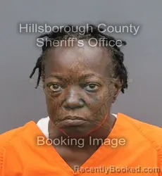 Mugshot of Cynthia Gertrude Chin booked in Hillsborough County, Florida on September 16, 2026