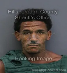 Mugshot of Anthony Wayne Jr Pitts booked in Hillsborough County, Florida on September 16, 2026