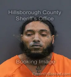 Mugshot of Deszmann Tremain Broussard booked in Hillsborough County, Florida on September 16, 2026