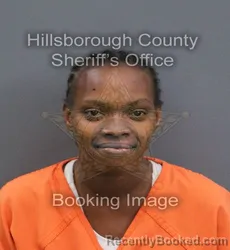 Mugshot of Marissa Lashawn Barnes booked in Hillsborough County, Florida on September 16, 2026