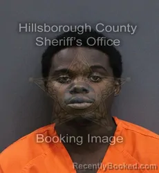 Mugshot of Anthony Benjamin Alexis booked in Hillsborough County, Florida on September 16, 2026