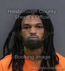 Mugshot of Davidson Garcon booked in Hillsborough County, Florida on September 16, 2026
