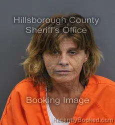 Mugshot of Terri Lynn Kight booked in Hillsborough County, Florida on September 16, 2026