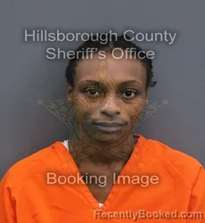 Mugshot of Cherrie Yat'E Lane booked in Hillsborough County, Florida on September 16, 2026