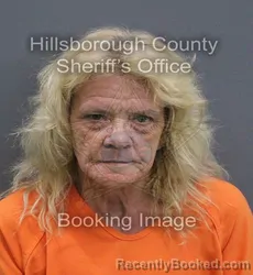 Mugshot of Shanna Elyse Hendley booked in Hillsborough County, Florida on September 16, 2026