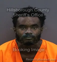 Mugshot of Romain Lee Mungin booked in Hillsborough County, Florida on September 16, 2026