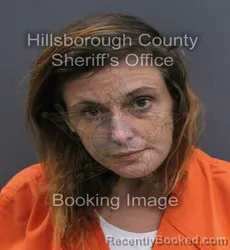 Mugshot of Juliana Elizabeth Sheets booked in Hillsborough County, Florida on September 16, 2026
