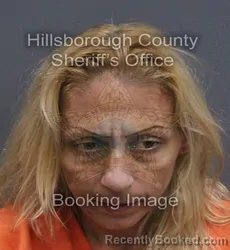 Mugshot of Crystal Marie Ferguson booked in Hillsborough County, Florida on September 16, 2026