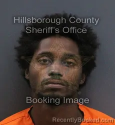 Mugshot of Tor Mac Armstrong booked in Hillsborough County, Florida on September 17, 2026