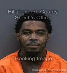 Mugshot of Rechae Amad Edwards booked in Hillsborough County, Florida on September 17, 2026